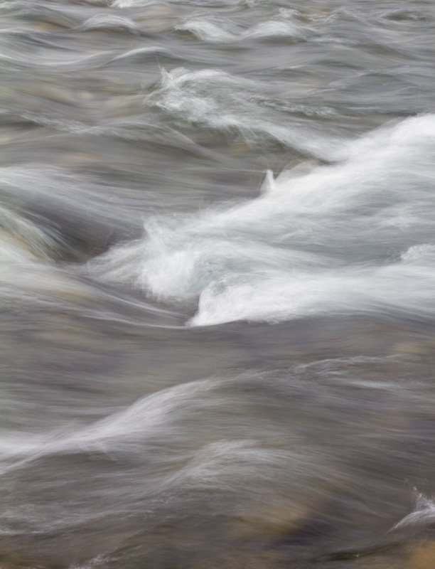 The Hoh River