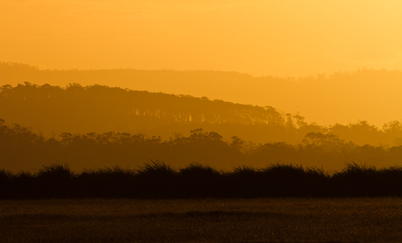 Forested Ridges At Sunset