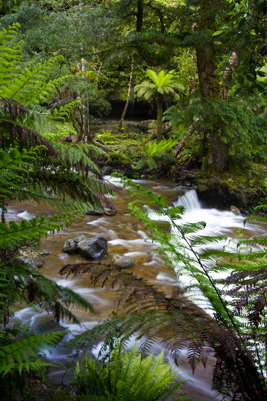 Liffey Creek