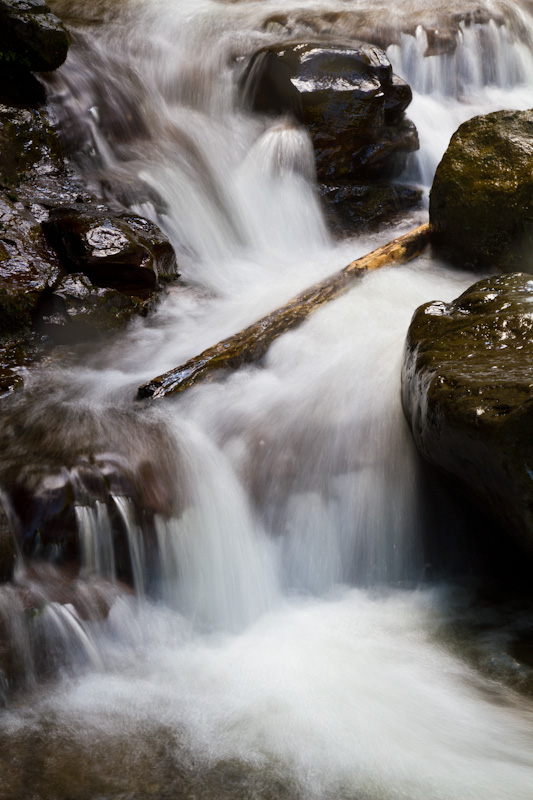 Liffey Creek