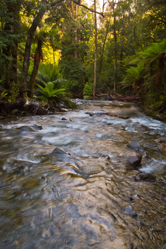 Liffey Creek