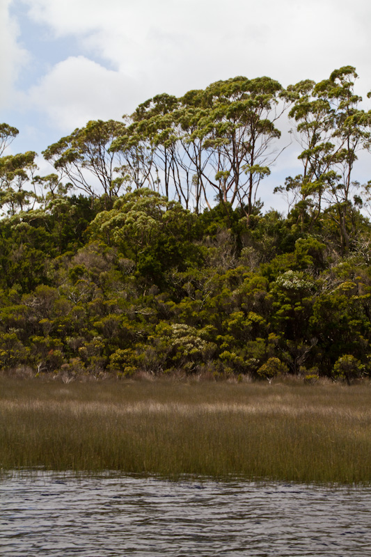 Melaleuca Inlet