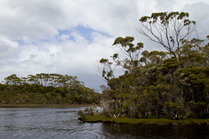 Melaleuca Inlet