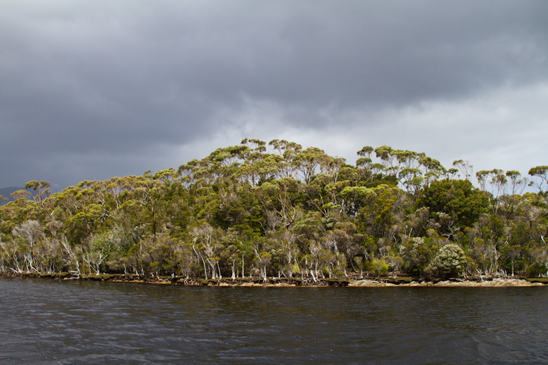 Melaleuca Inlet