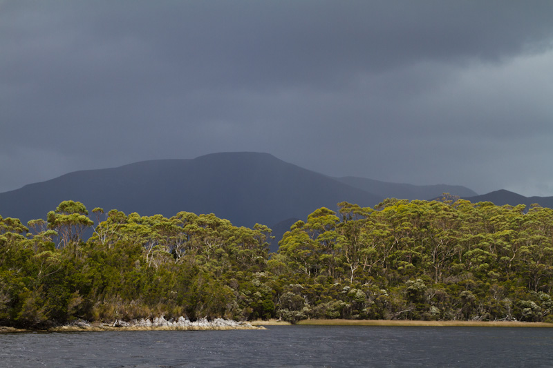 Melaleuca Inlet