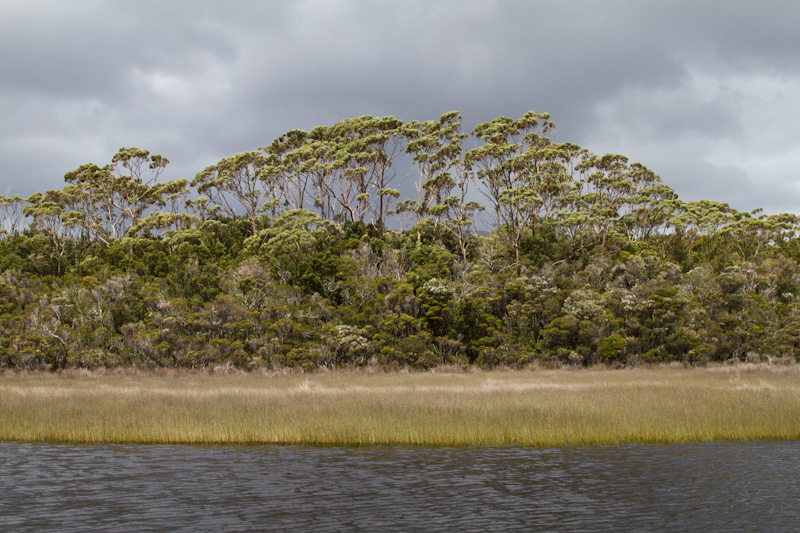 Melaleuca Inlet