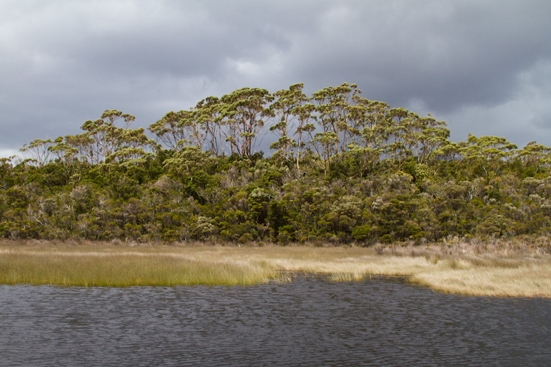 Melaleuca Inlet