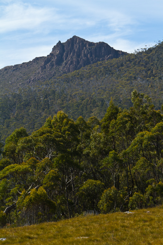 Peak Above Forest