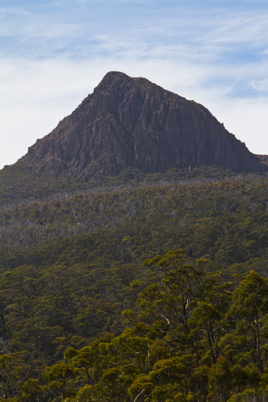 Peak Above Forest