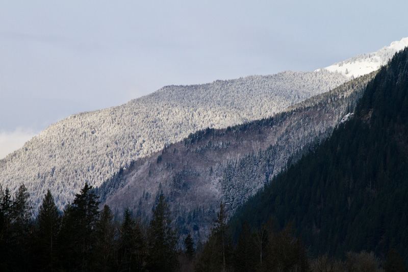 Snow Covered Peaks