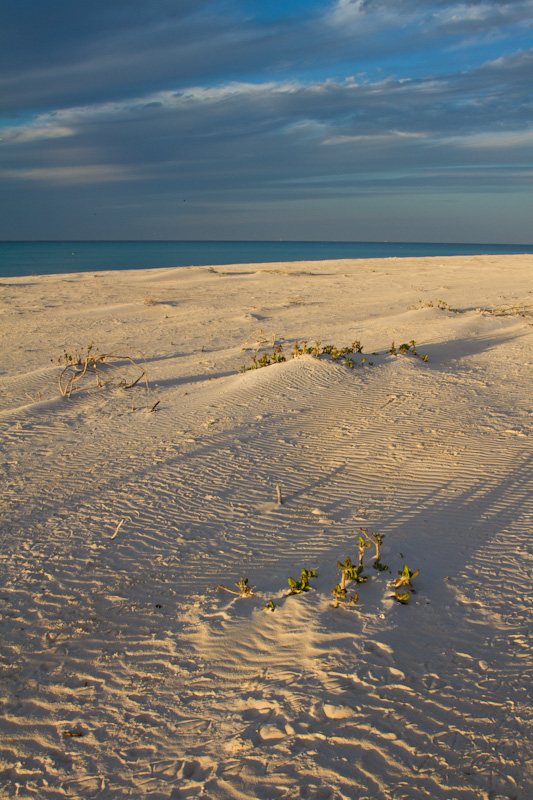 Patterns In Sand