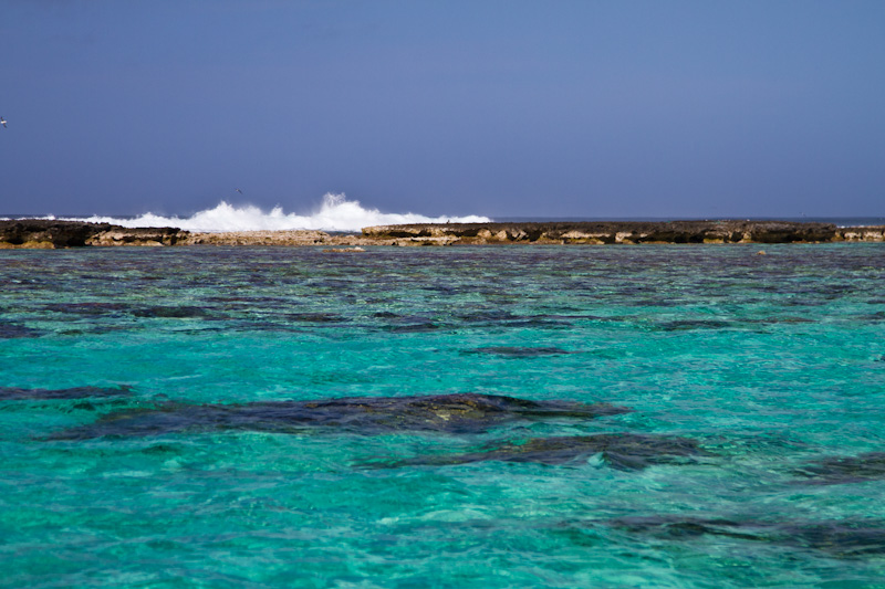 Waves Breaking Over Reef