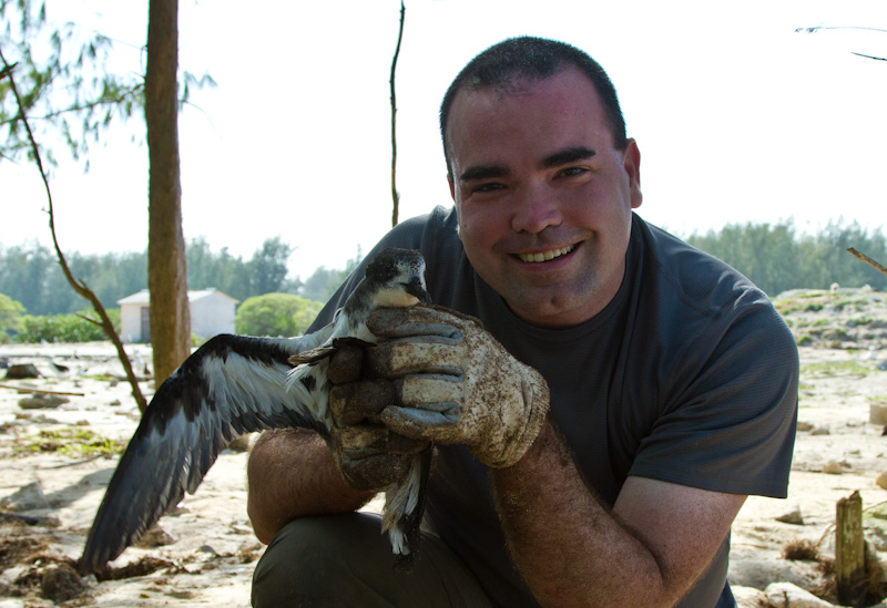 Me Rescuing A Bonin Petrel On Midway Post Tsunami