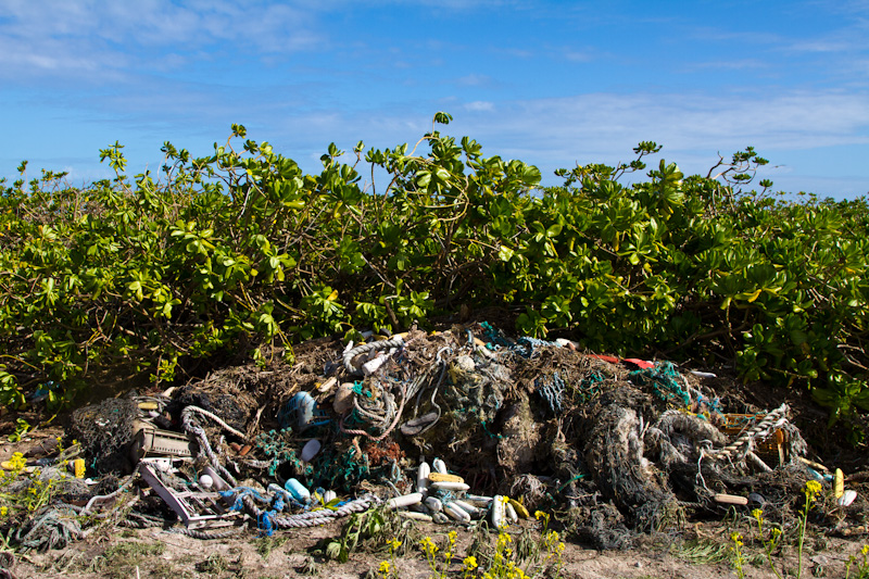 Tsunami Debris