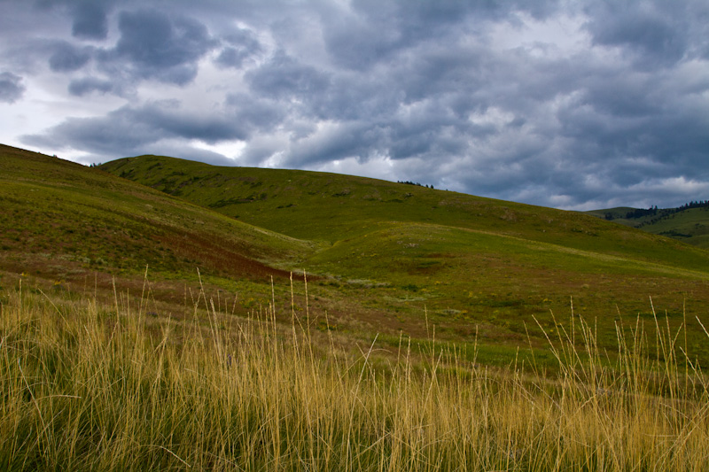 Rain Clouds Over Prairie