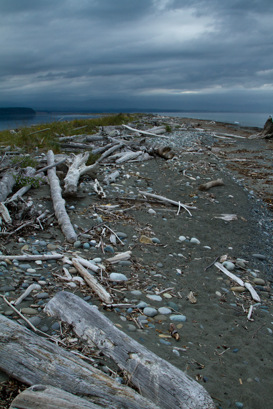 Dungeness Spit