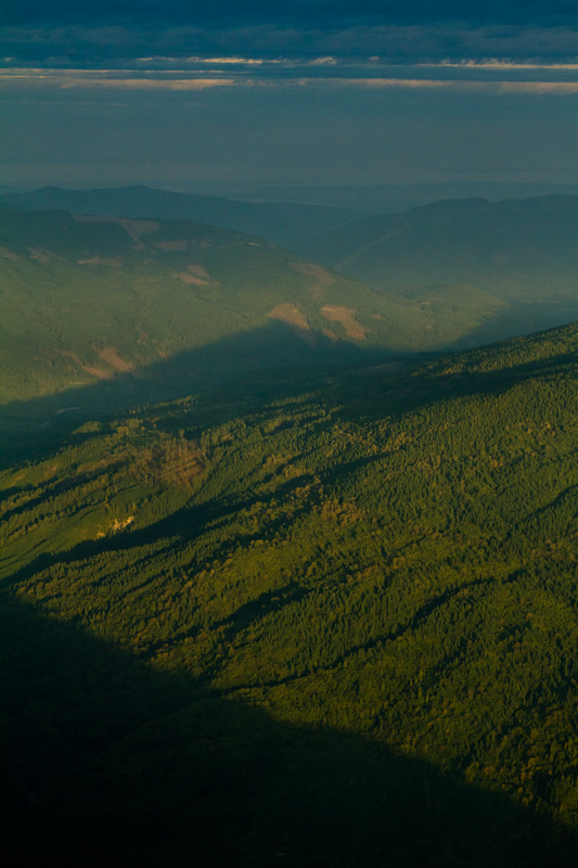 First Light On Forest