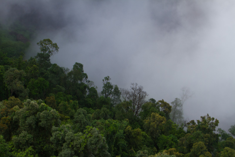 Mist From Wallaman Falls