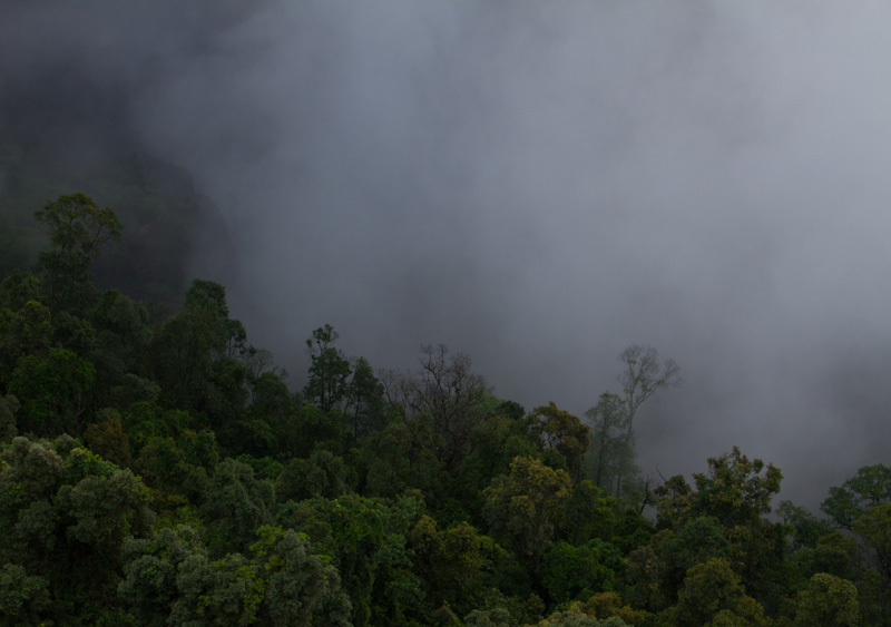 Mist From Wallaman Falls