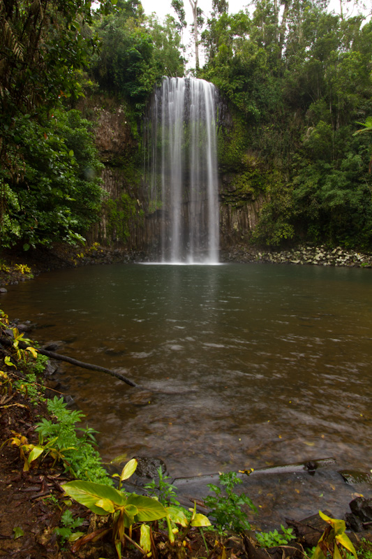 Millaa Millaa Falls