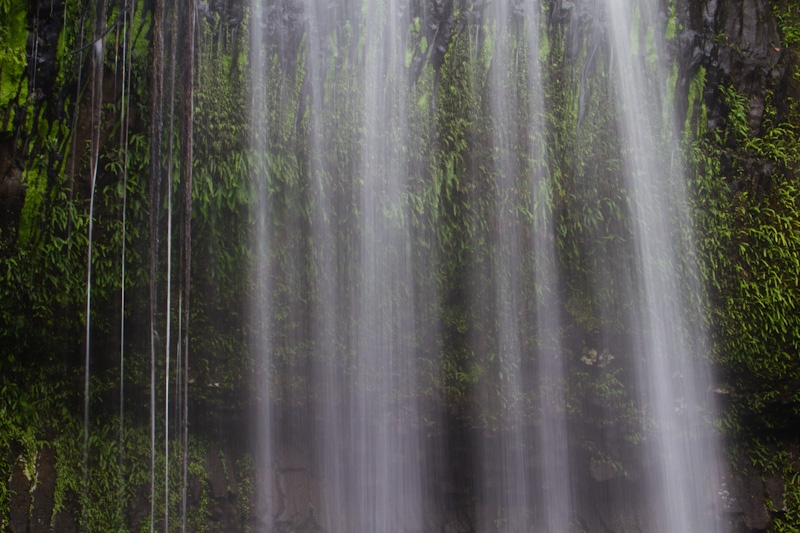 Millaa Millaa Falls Detail