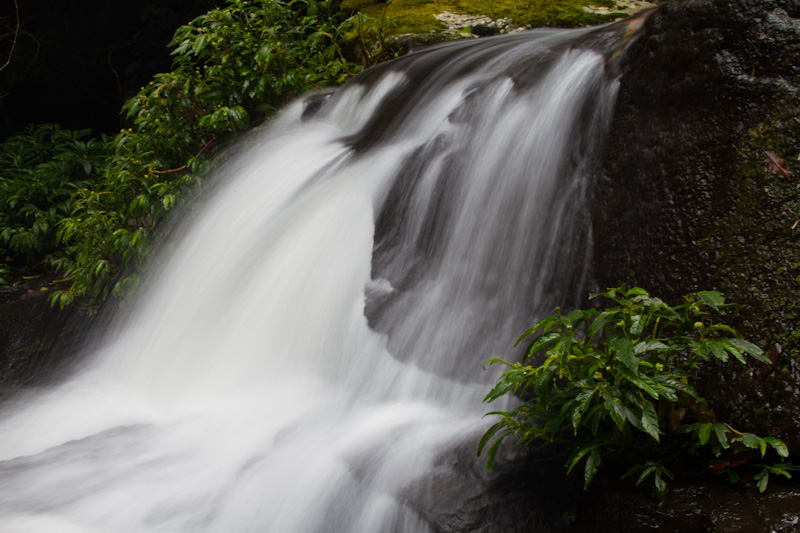 Small Cascade Along Stream