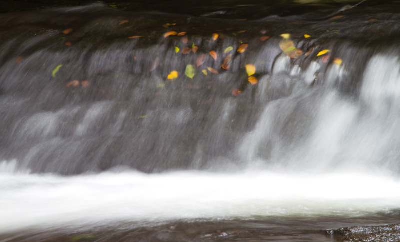 Small Cascade Along Stream