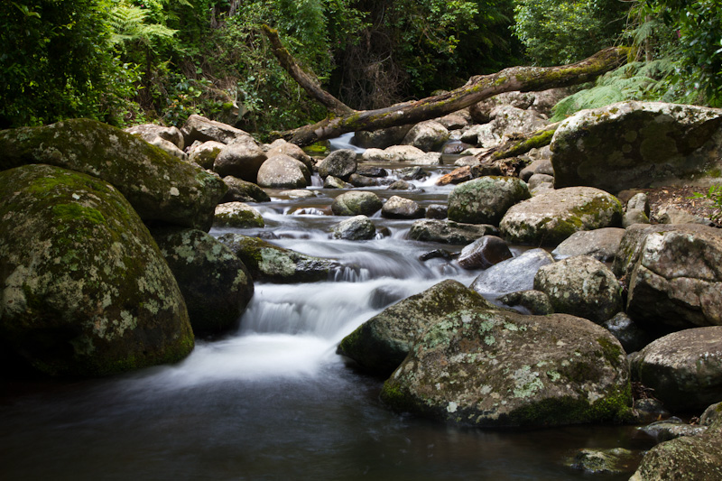 Small Cascade Along Stream