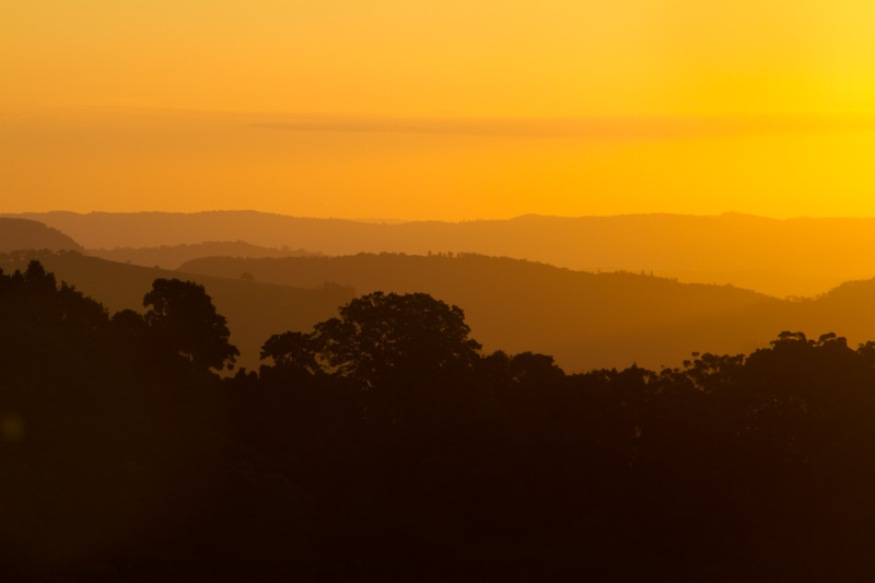 Forested Ridges At Sunset