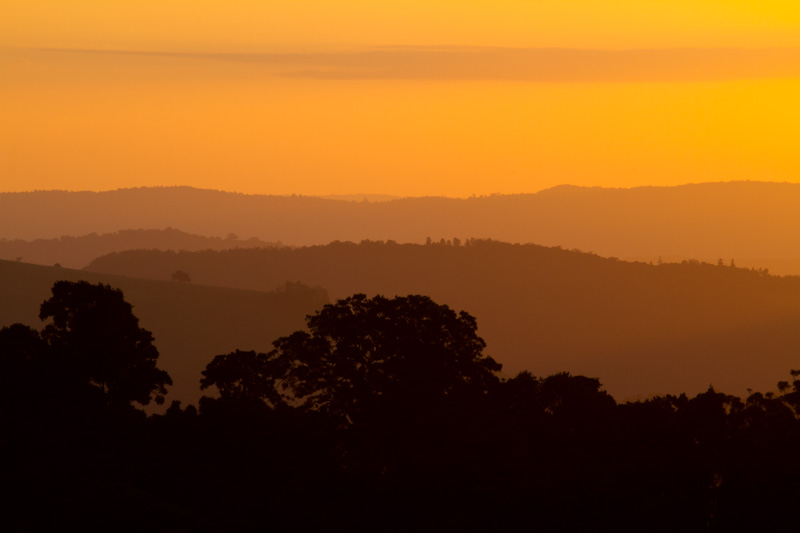 Forested Ridges At Sunset