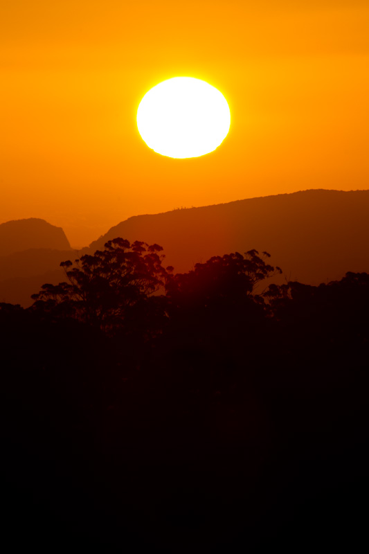 Forested Ridges At Sunset