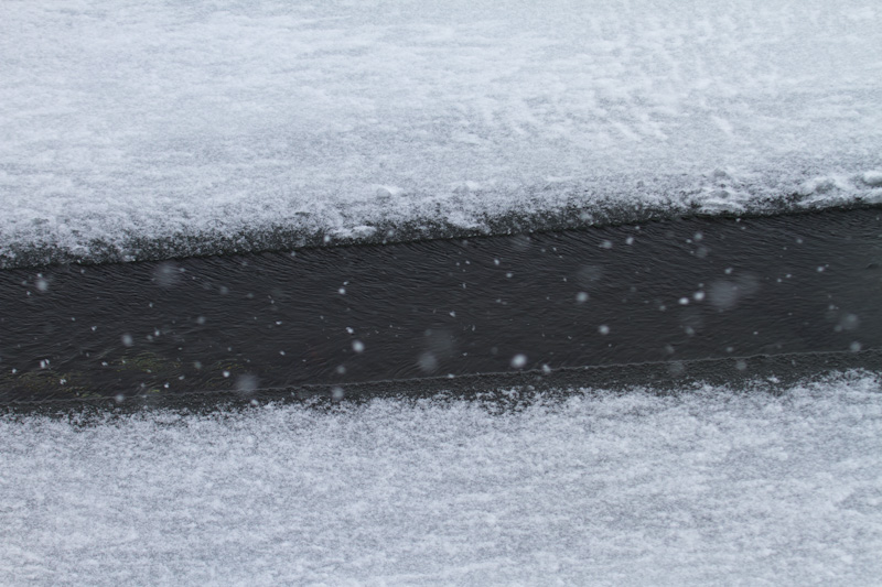 Ice-Edged Creek