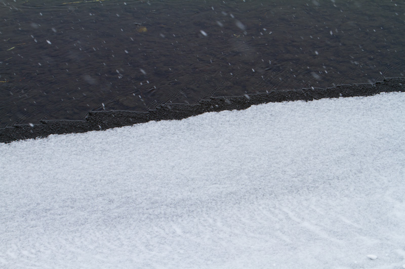 Ice At Edge Of Creek