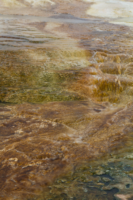 Hot Spring Detail