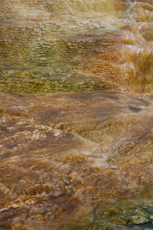 Hot Spring Detail