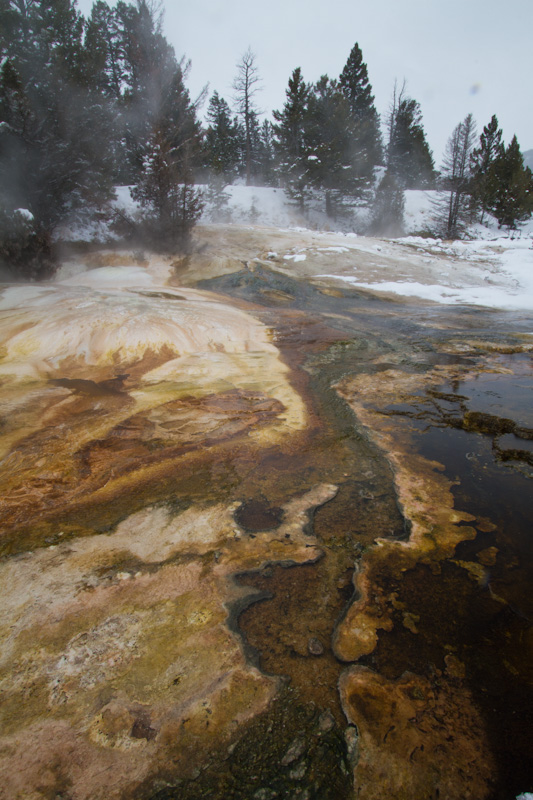 Mammoth Hot Springs