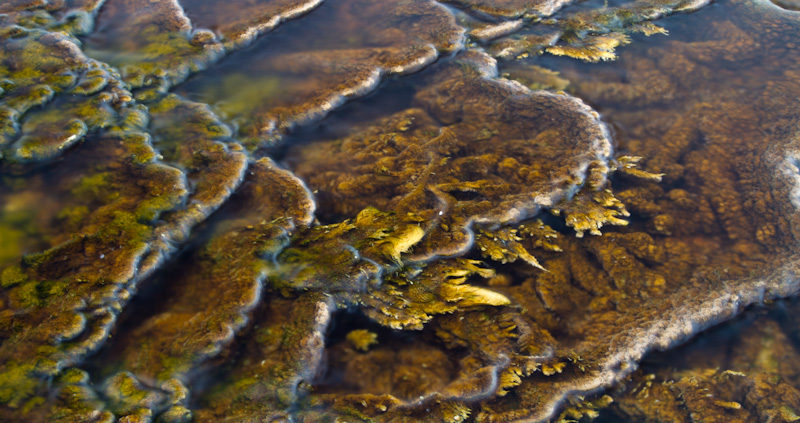 Hot Spring Detail