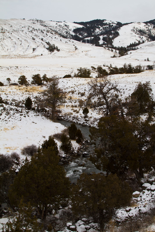 Gardner River Valley