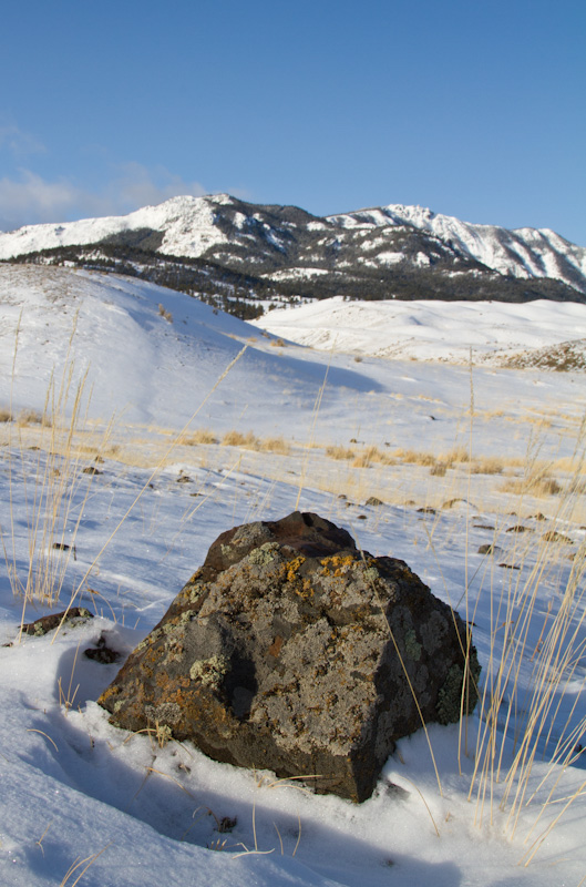 Rock And Grass