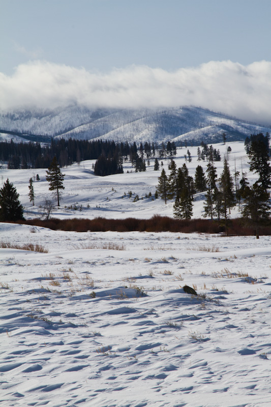 Yellowstone In Winter