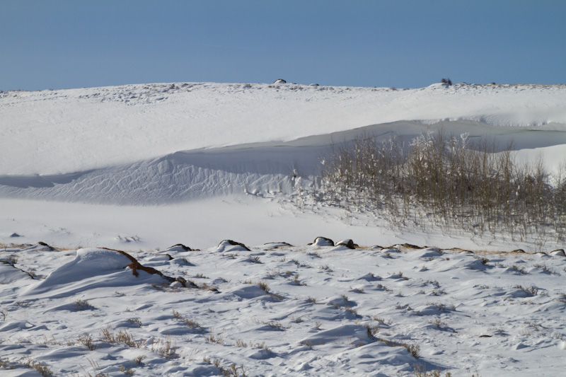 Yellowstone In Winter