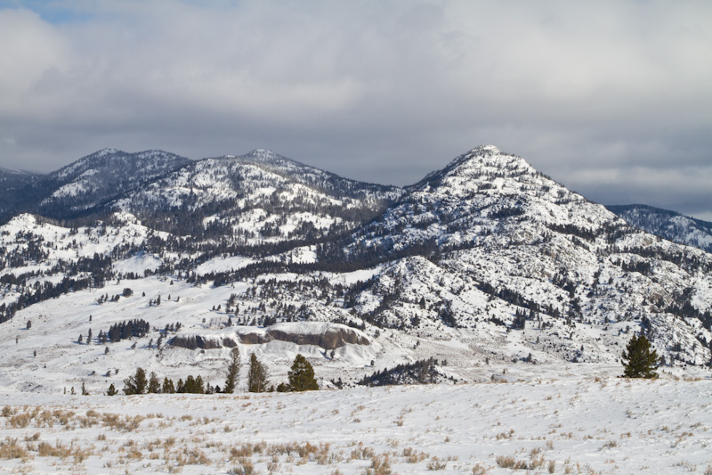 Yellowstone In Winter