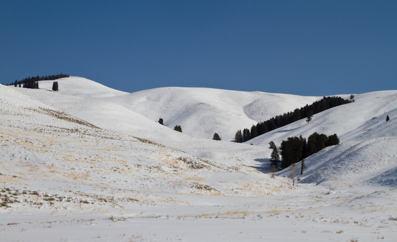 Yellowstone In Winter