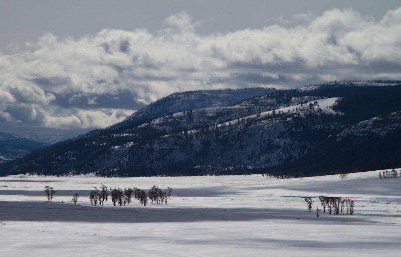 Lamar Valley In Winter