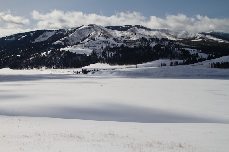 Lamar Valley In Winter