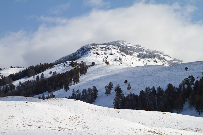 Snow Covered Peaks