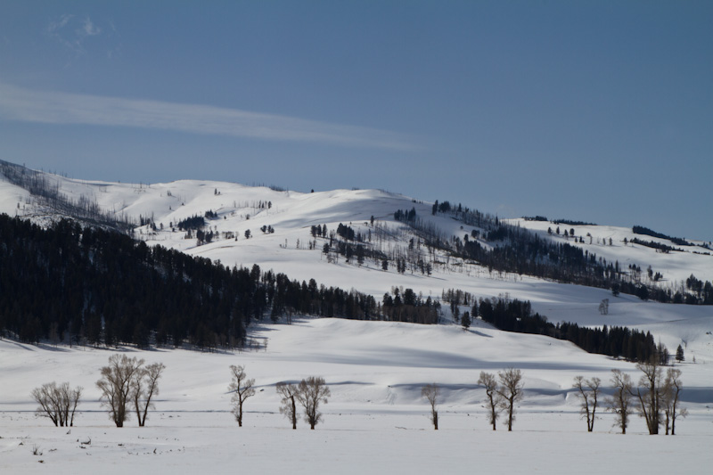 Lamar River Valley In Winter