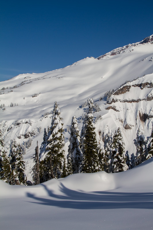 Snow On Slopes Of Mount Rainier