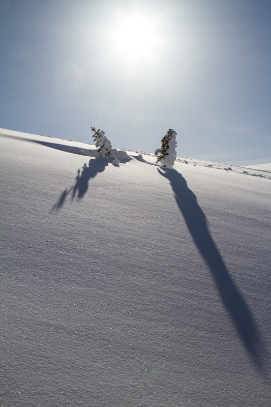 Sun Above Snow