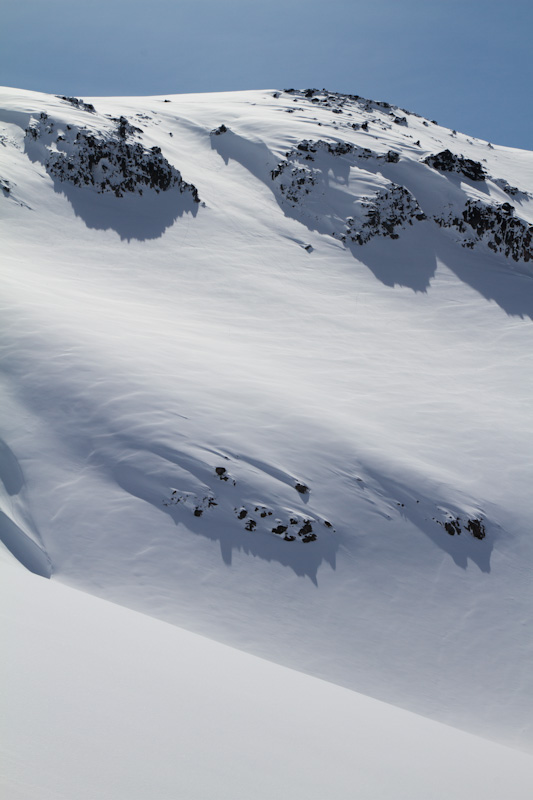 Slopes Above The Nisqually Glacier